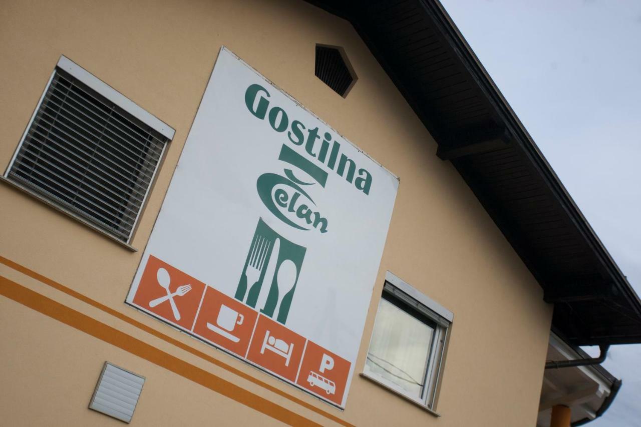Guest House Celan Spodnja Hajdina Екстер'єр фото