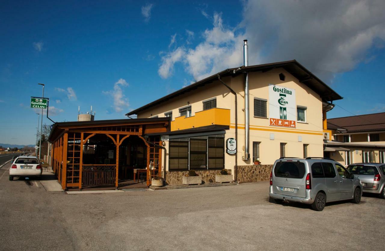 Guest House Celan Spodnja Hajdina Екстер'єр фото